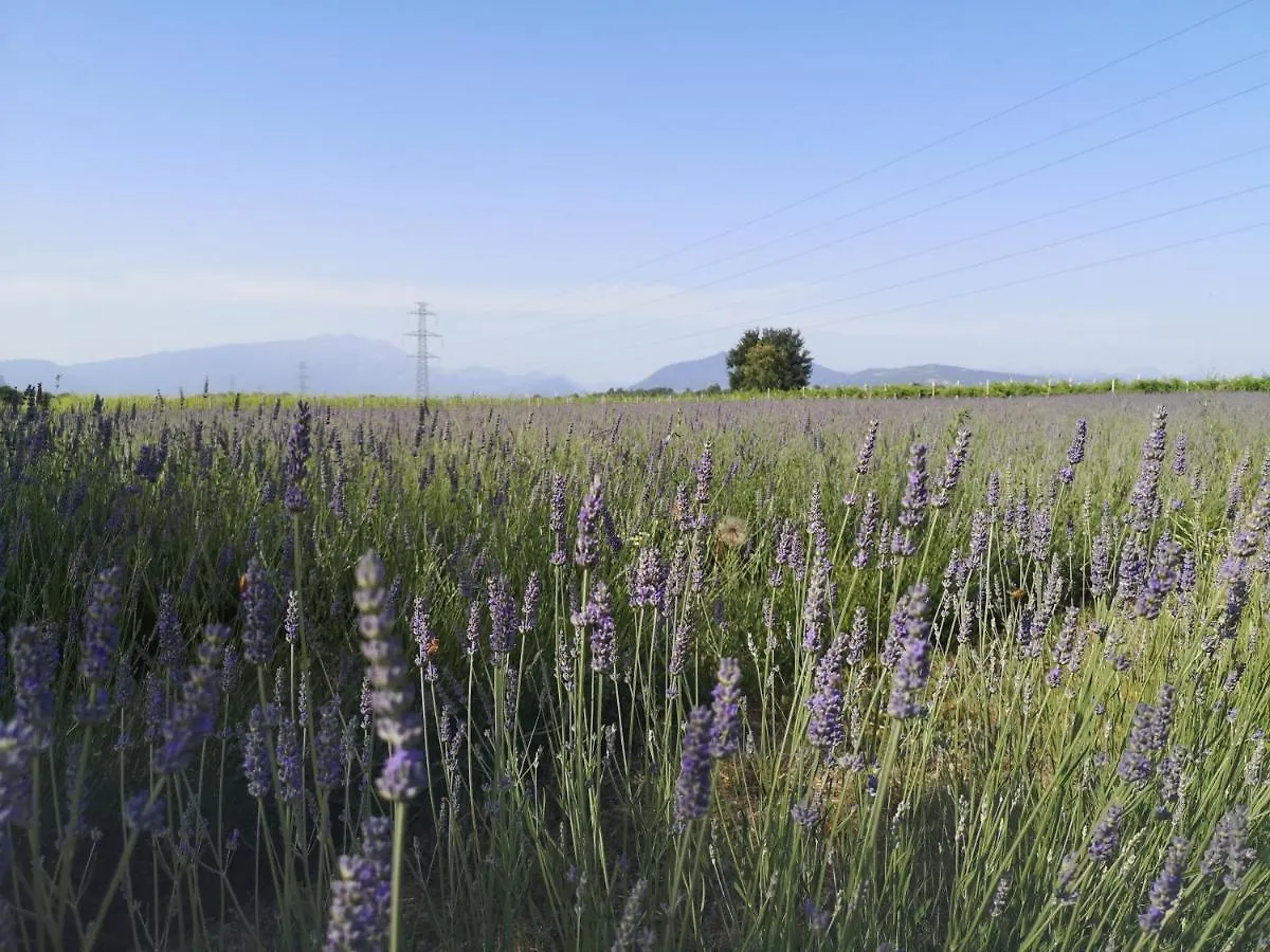 Agriturismo Colombare Teboi Lazise Italie