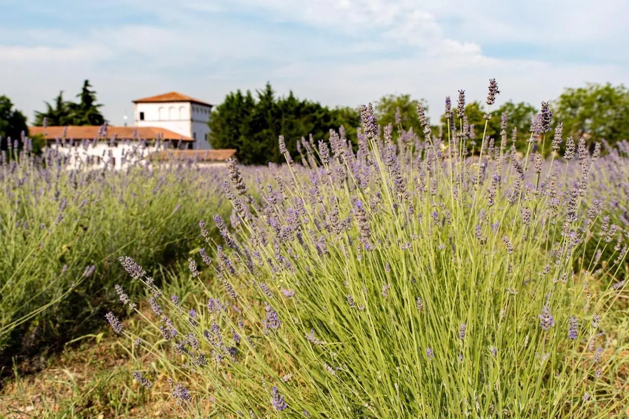 Agriturismo Colombare Teboi Lazise