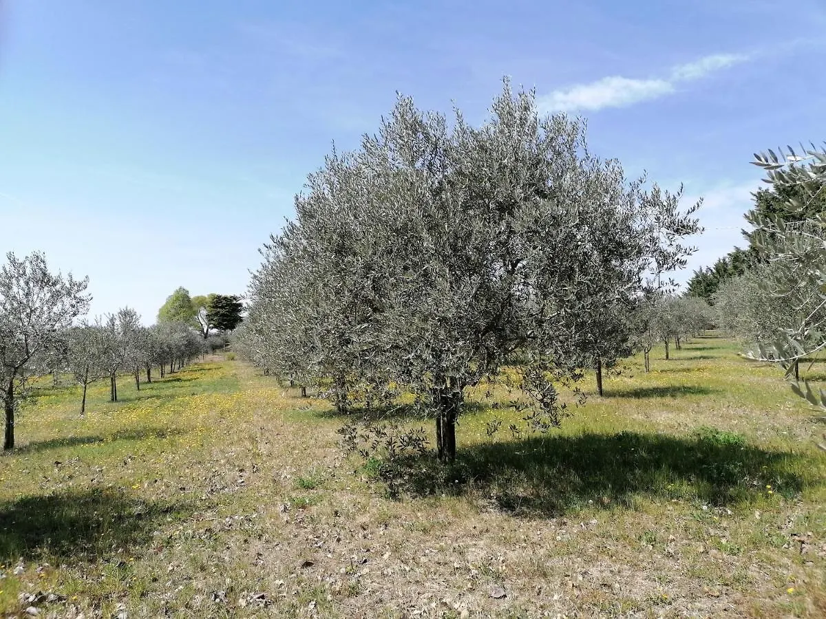 Agriturismo Colombare Teboi Lazise