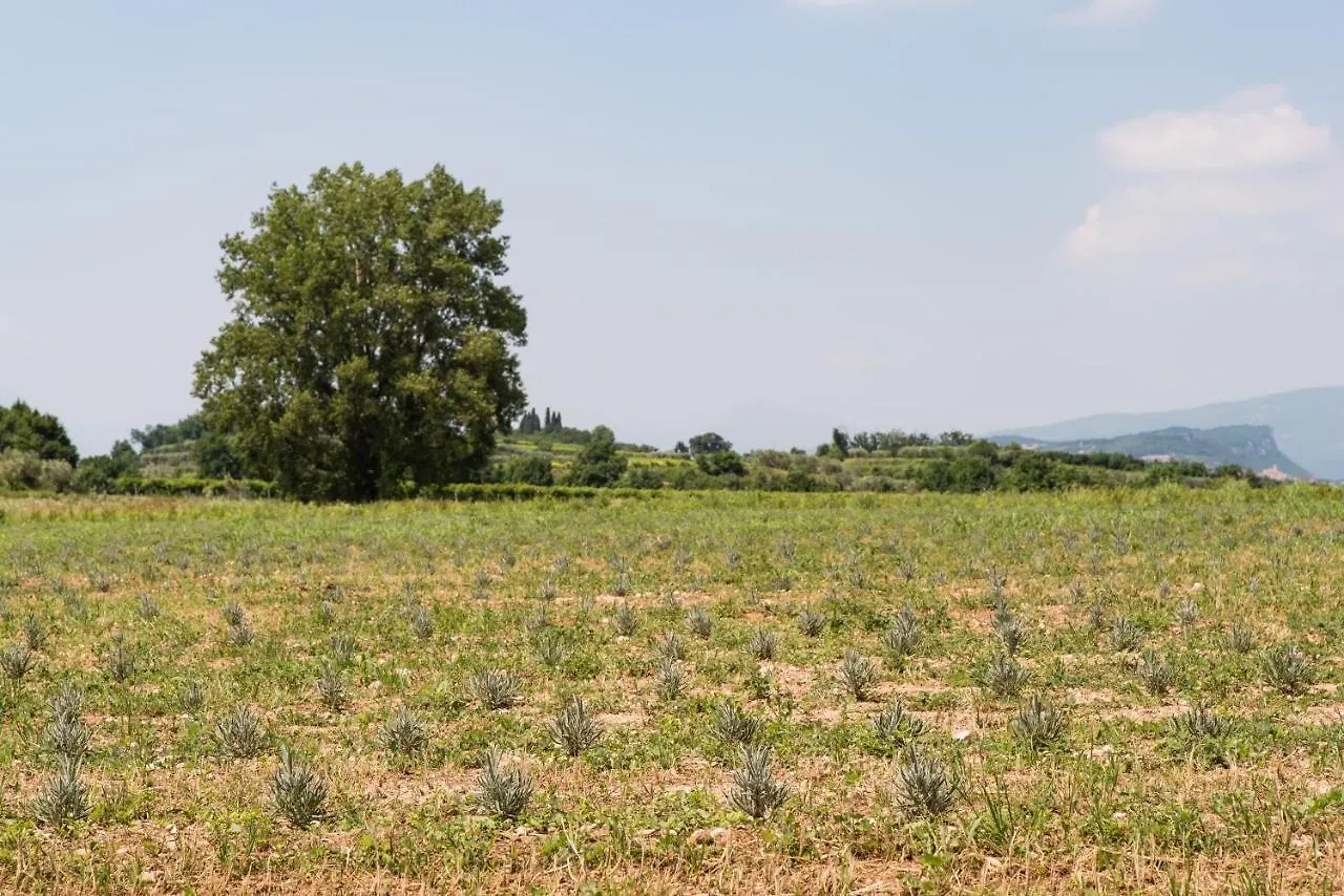 Agriturismo Colombare Teboi Lazise Apartamento